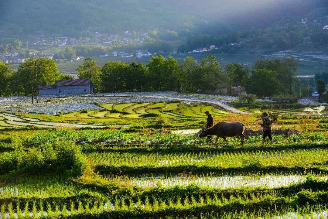 凉山彝族自治州旅游(凉山彝族自治州旅游攻略)_http://www.153617.com_旅游攻略_第1张