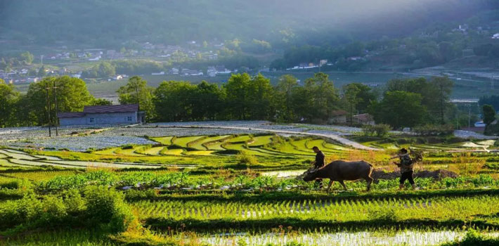 凉山彝族自治州旅游(凉山彝族自治州旅游攻略)