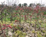 浦东新明天天气