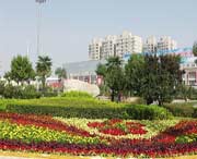 长安天气预报40天