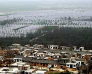 泾阳天气预报7天