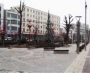 长武天气预报7天