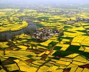 汉中天气预报7天