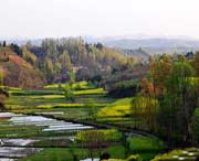 洋县天气预报7天