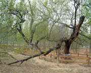 夏津天气预报40天