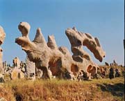 费县天气预报15天