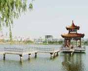 曹县天气预报40天