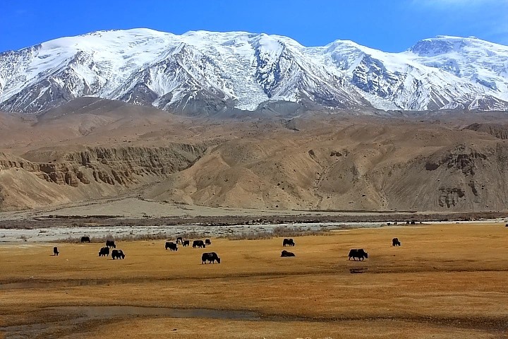 塔什库尔干天气预报7天