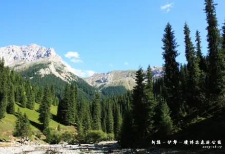 察布查尔天气预报60天