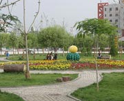 和田天气预报60天