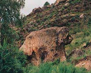 福海天气预报7天