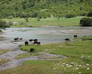 加查天气预报7天