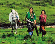 安多天气预报60天