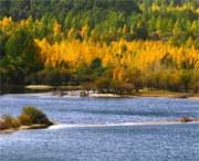 贵德天气预报7天