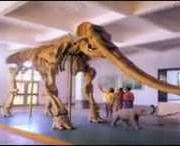 合水天气预报40天