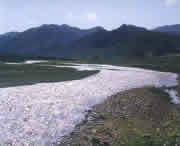 迭部天气预报60天