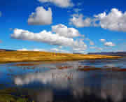 碌曲天气预报7天