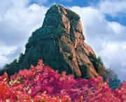 汝阳天气预报7天