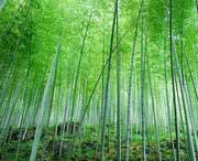 宜兴天气预报15天