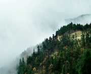 来凤天气预报15天