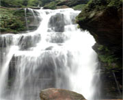 天台天气预报15天