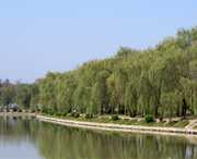 阜南天气预报60天