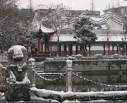 太和天气预报15天