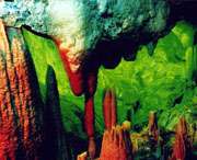 无为天气预报15天