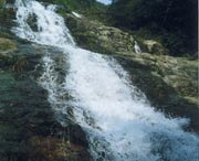 长泰天气预报60天