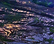 尤溪天气预报40天