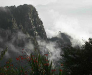 临武天气预报7天