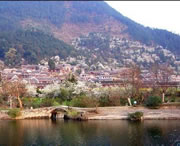 贵定天气预报7天