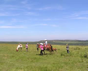 龙里天气预报7天