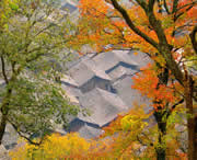 三穗天气预报7天