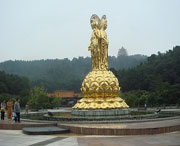 遂宁天气预报40天