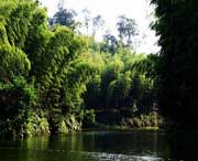 长宁天气预报7天