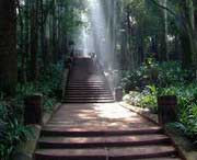 彭山天气预报60天