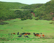 昭觉天气预报7天
