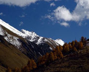 理县天气预报7天