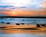 吴川天气预报7天