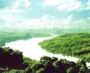 廉江天气预报7天