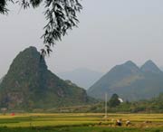 和平天气预报40天