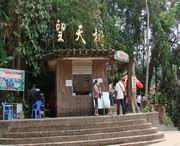 勐腊天气预报7天